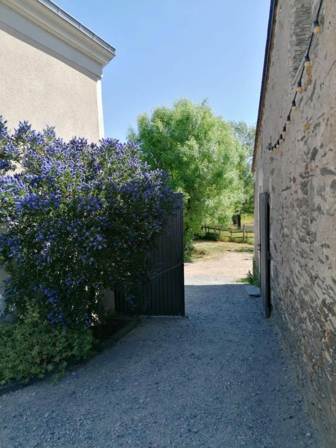 La Petite Boire - Chambres D'Hotes Pres D'Angers Murs-Erigne 外观 照片