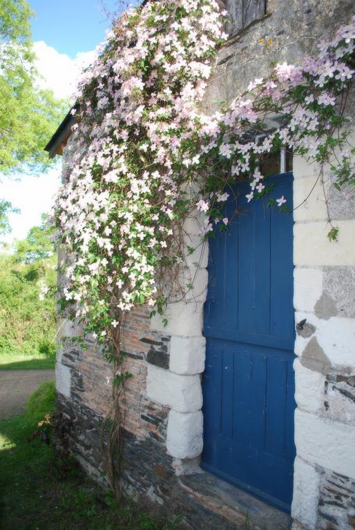 La Petite Boire - Chambres D'Hotes Pres D'Angers Murs-Erigne 外观 照片
